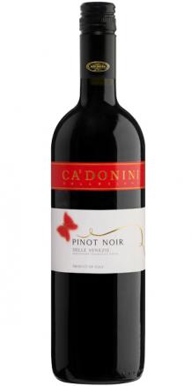 CaDonini - Pinot Noir Delle Venezie 2021